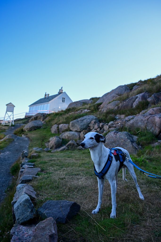 Lindesnes fyr
