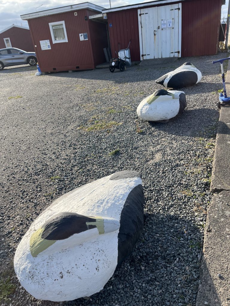 Hälsö