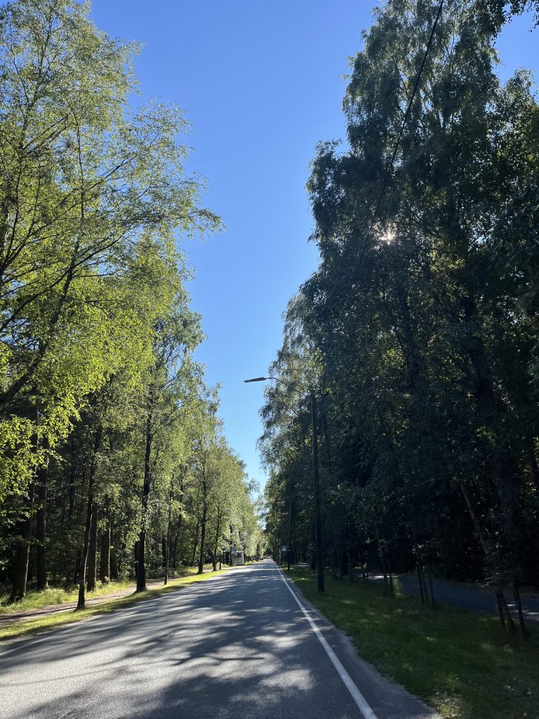 Furulunden