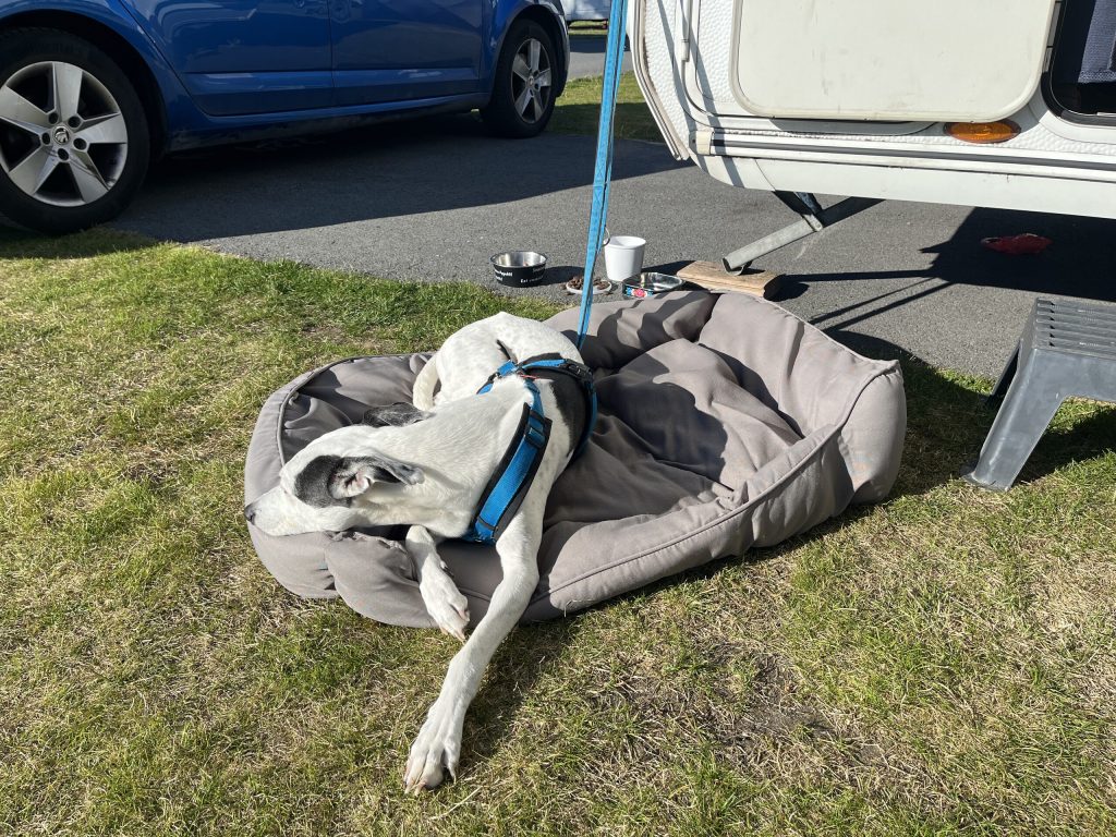 Topcamp Sjøsanden