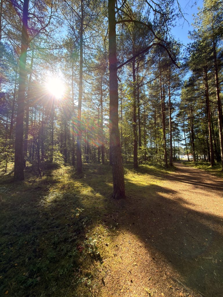 Topcamp Sjøsanden