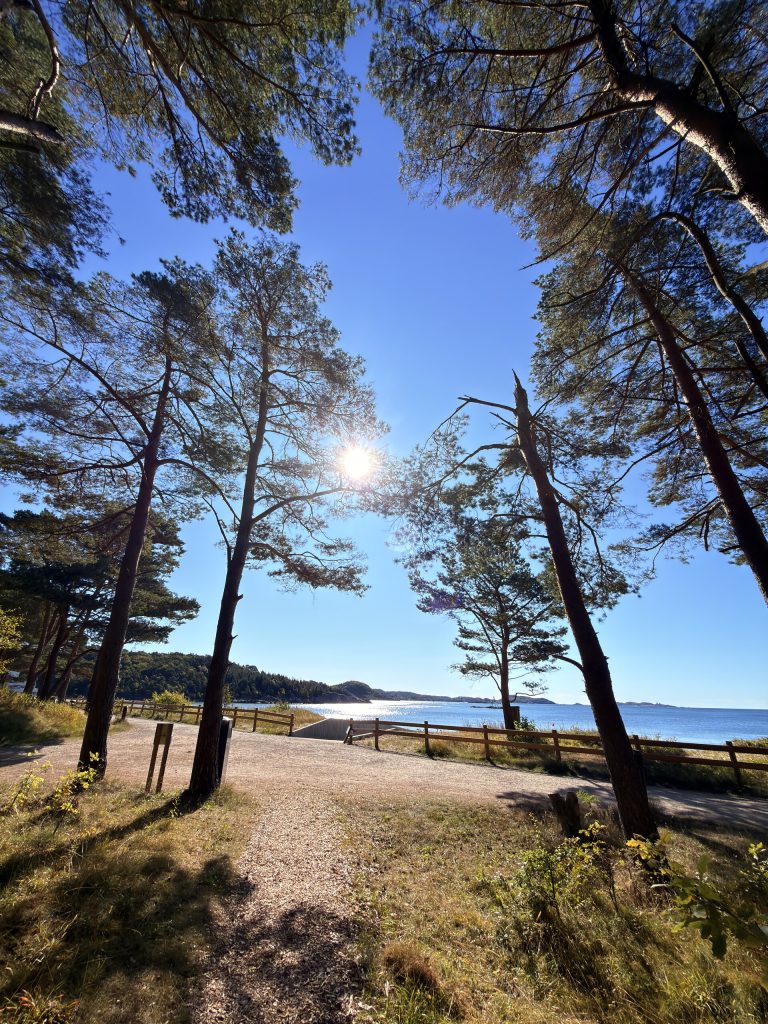 Sjøsanden